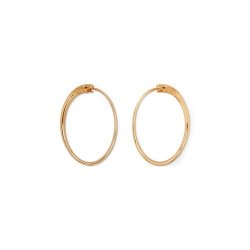 Celine Maillon Triomphe Stud Earrings in Metallic